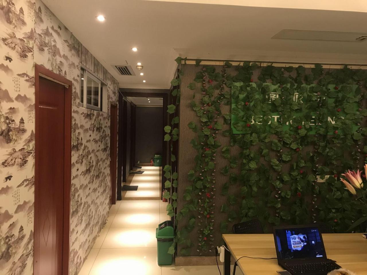 Best Cat Hostel 广州 外观 照片